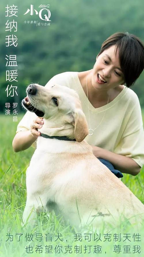 熊本県立大学硕士学位证